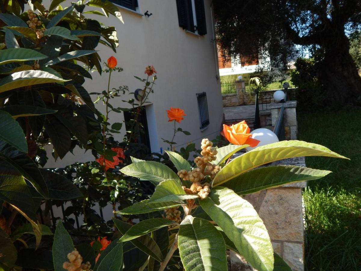 Villa Dimitra Sívota 외부 사진